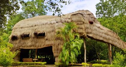 Kumbuk River Elephant Villa