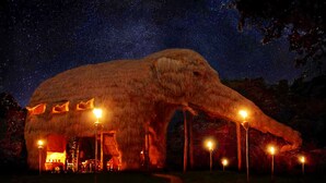 Un'imponente struttura a forma di elefante con tetto di paglia e finestre illuminate, sullo sfondo di un cielo stellato.