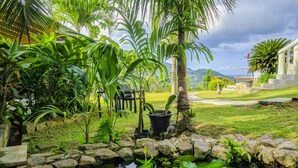 A lush garden with a pond, palm trees, and a view of a modern house.