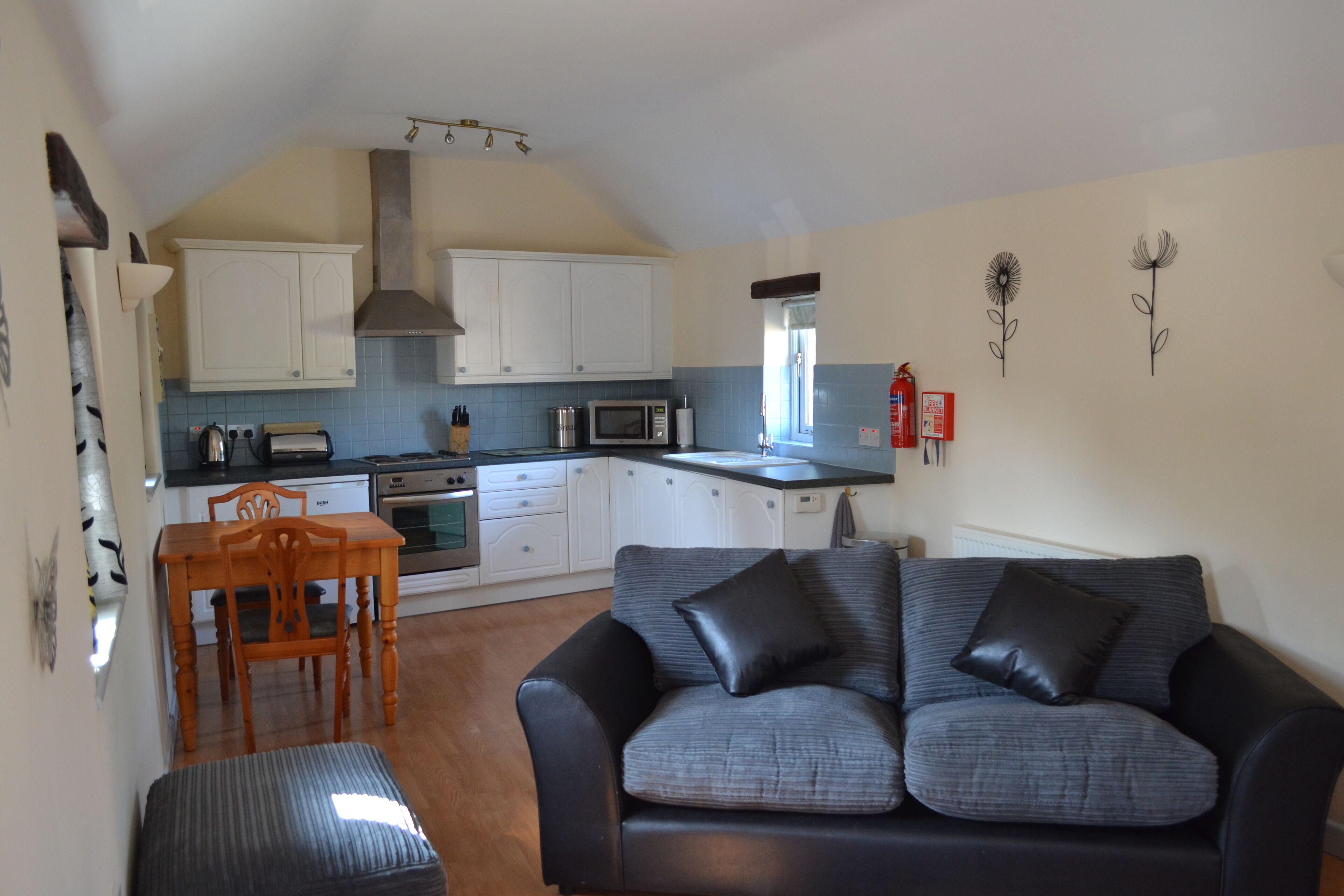 Televisor, llar de foc, reproductor de DVD i llibres 