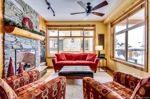 Smart TV, fireplace, DVD player, books