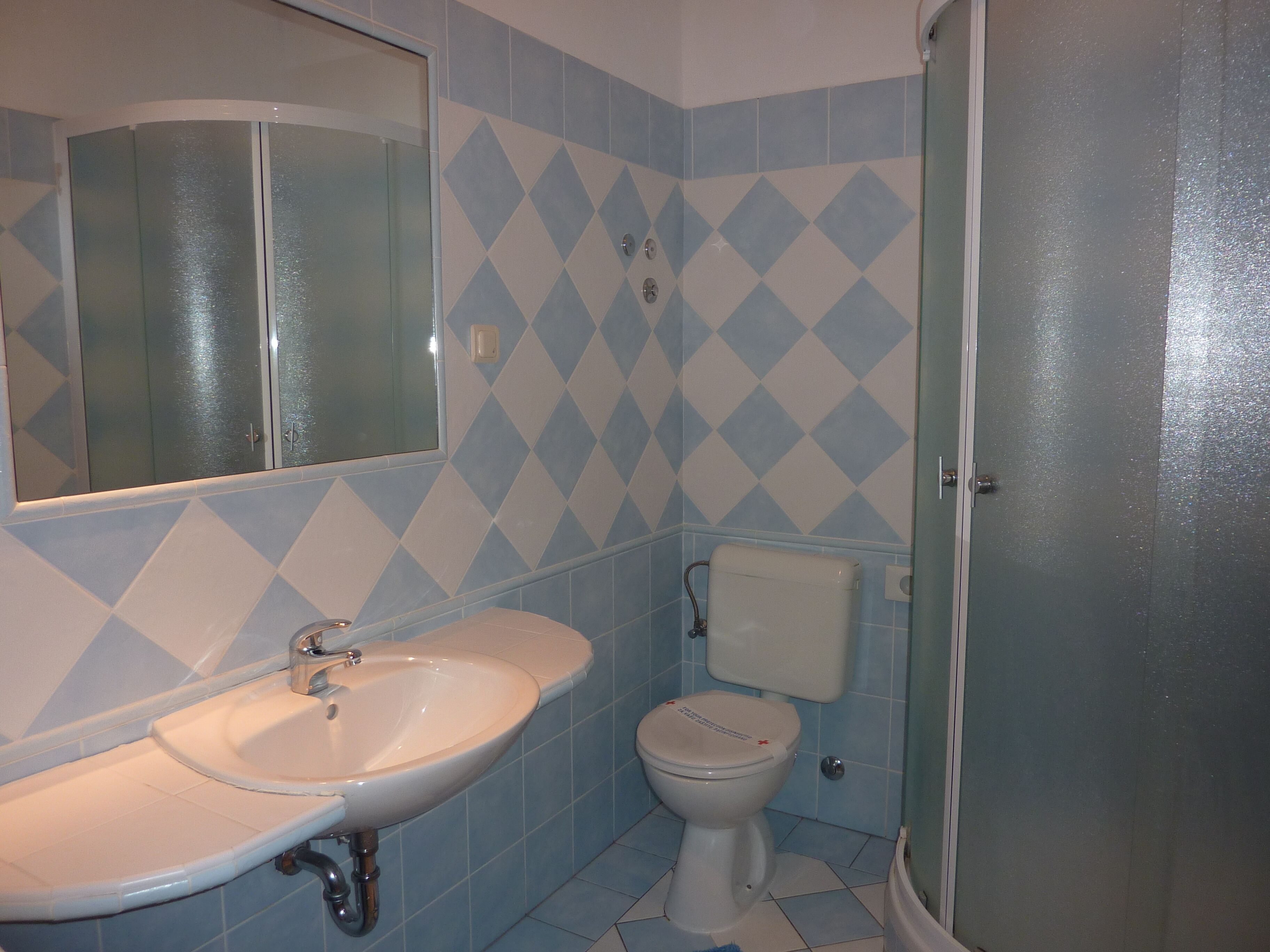 A bathroom with a sink, toilet, and a shower area.