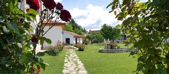 Villa Linet