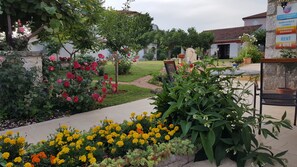 Comfort-Bungalow | Ausblick vom Zimmer