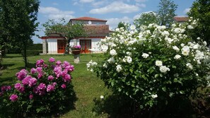 View from property - Holiday home Linet (Funtana)