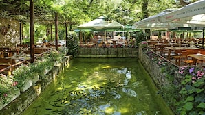 Un café al aire libre con mesas y sillas, un pequeño estanque con peces y follaje.