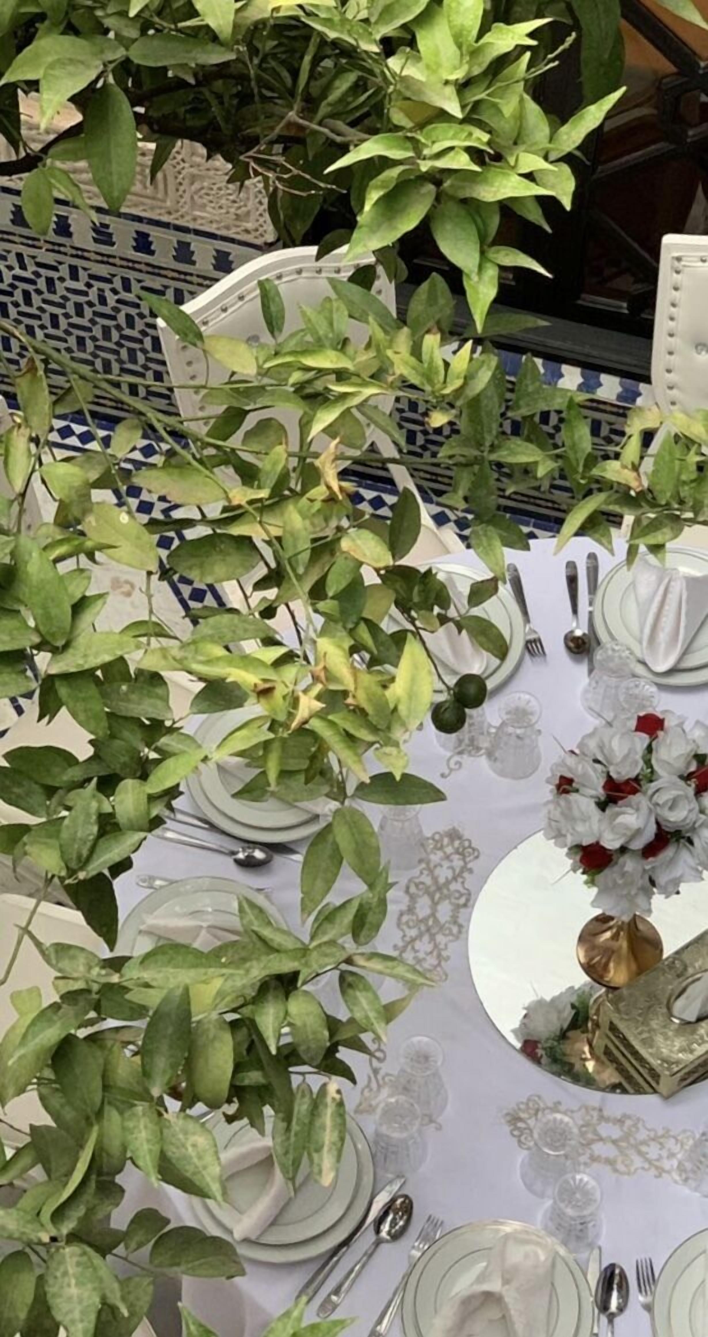 Photo - Riad Zouhour