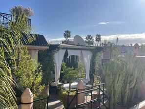 A courtyard with a pergola, potted plants, and cacti.