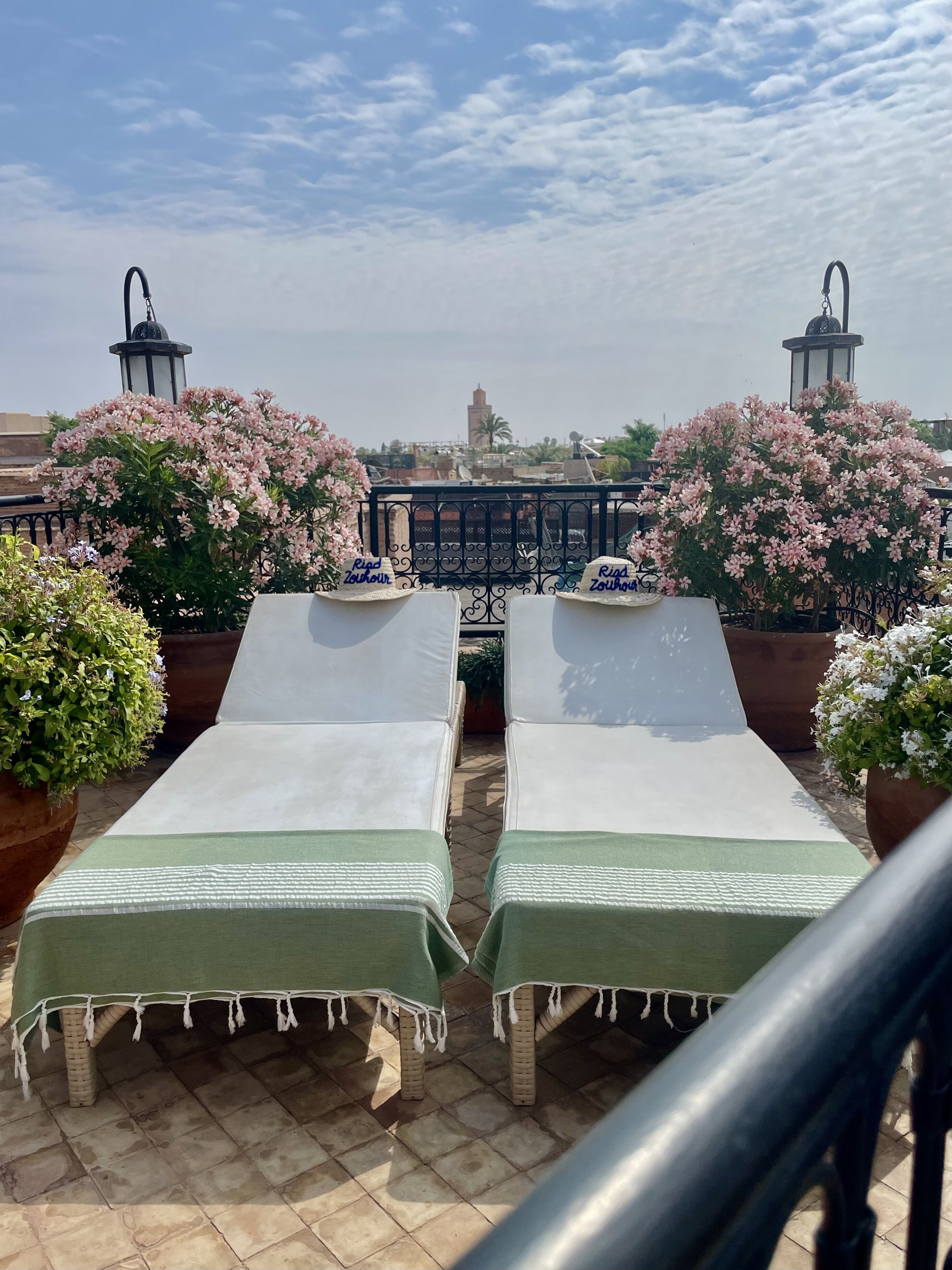 Une terrasse sur le toit, avec deux chaises longues, une rambarde et des plantes en pot.