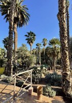 A garden with palm trees and cacti, a wooden pergola, and a brick pathway.