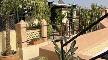 Terraço no telhado com plantas em vasos, grades de metal e vista para um edifício ao fundo.