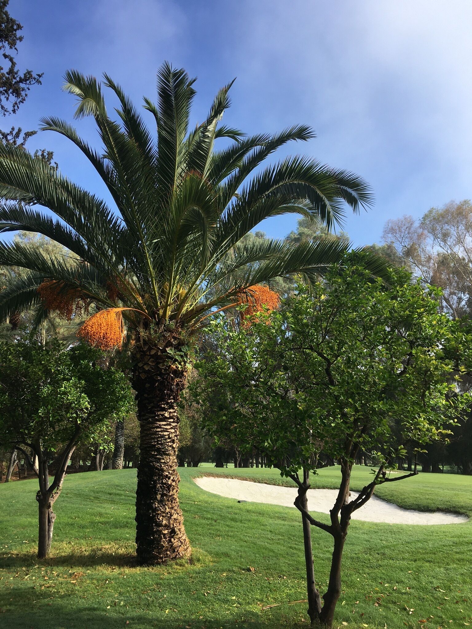 Photo - Riad Zouhour