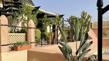A courtyard with terracotta planters, a cactus, and a metal gate.