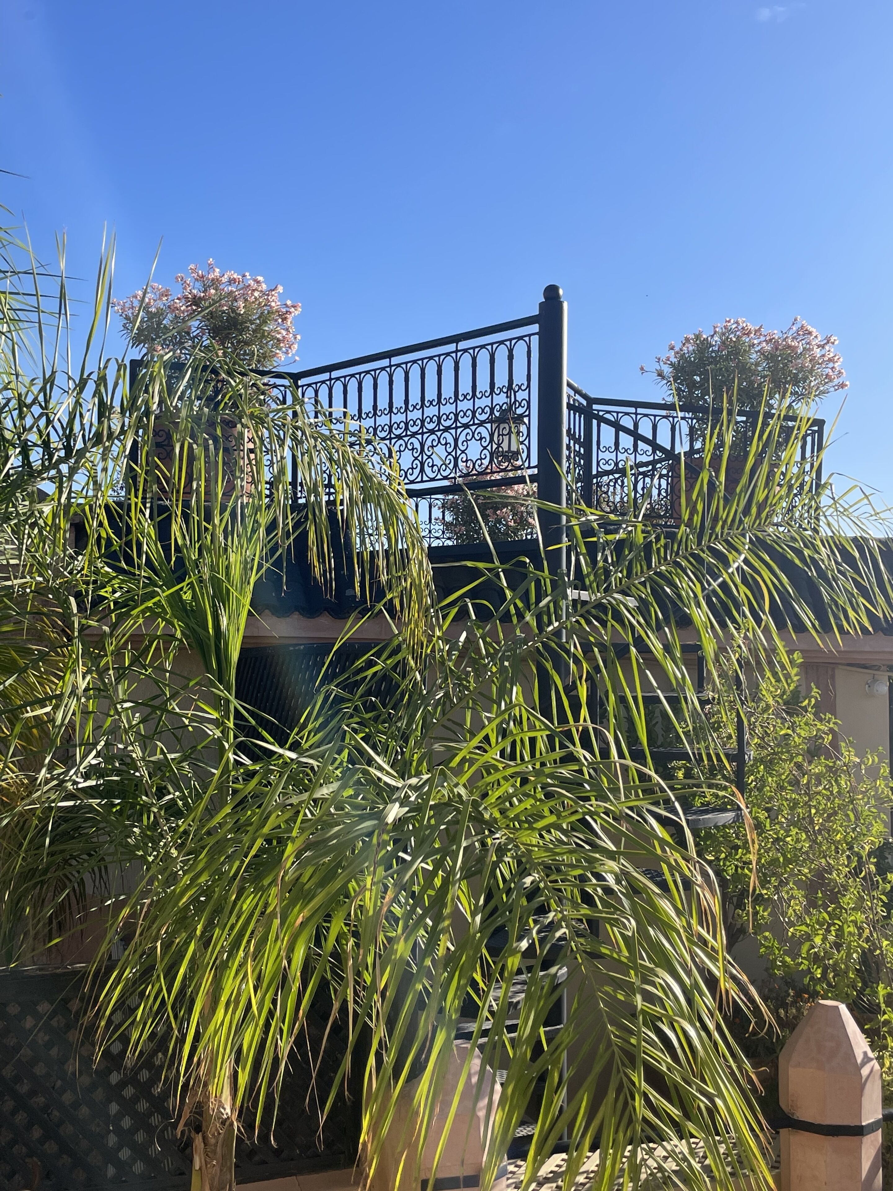 Terraza en la azotea