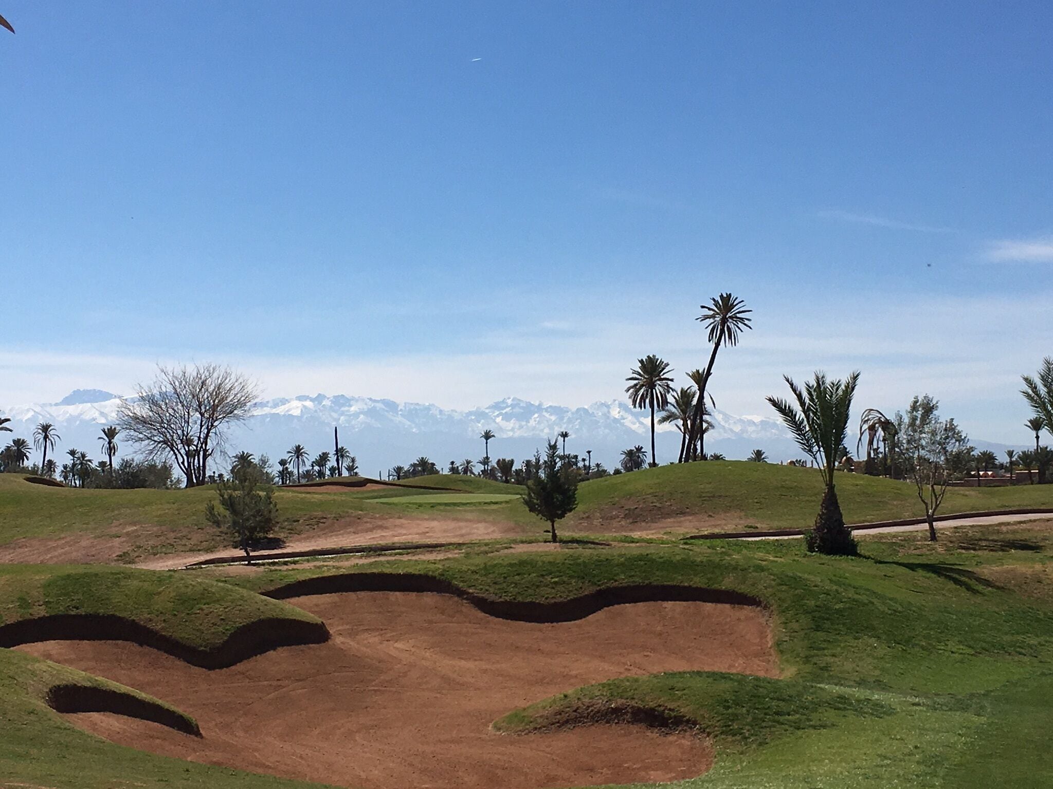 Photo - Riad Zouhour