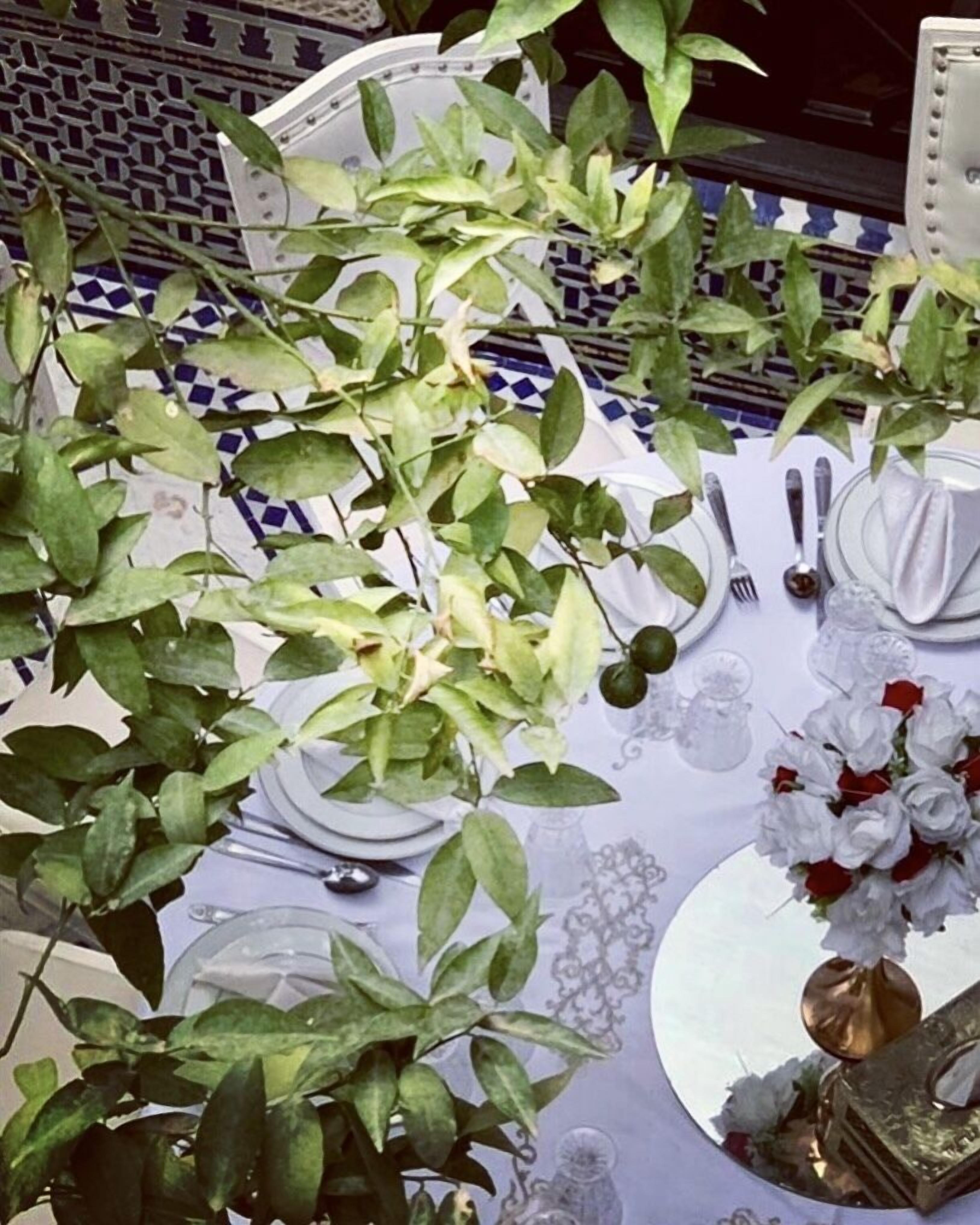 A dining table set with plates, cutlery, and a vase of flowers.