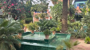 Un jardín con una fuente central, rodeado de diversas plantas y palmeras.