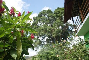 Ilmainen päivittäinen buffetaamiainen 