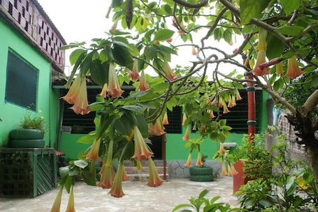 Jardín
