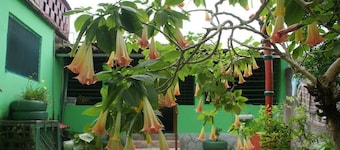 Pousada Recanto Verde