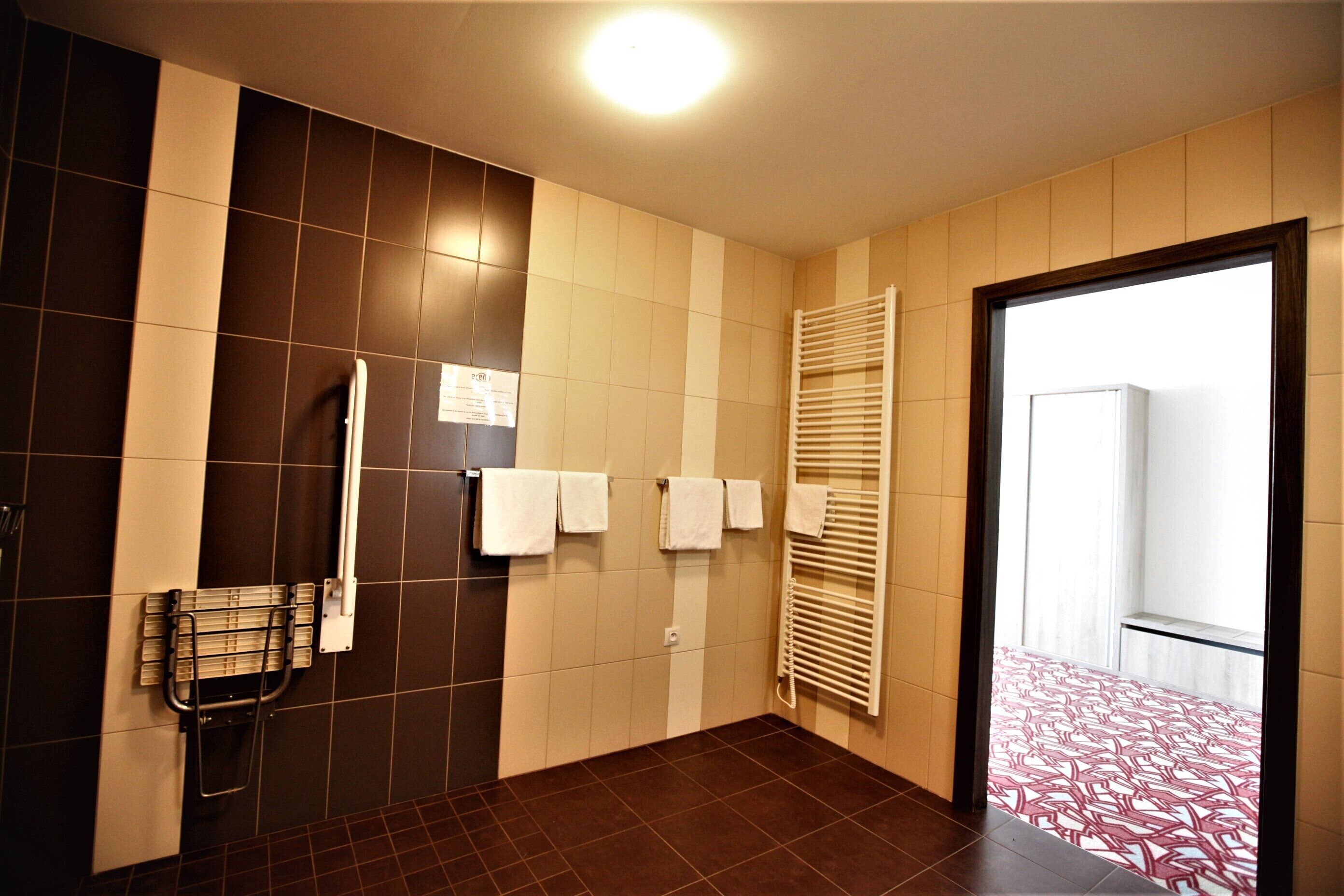 twin room, accessible | bathroom | shower, hair dryer, towels, soap