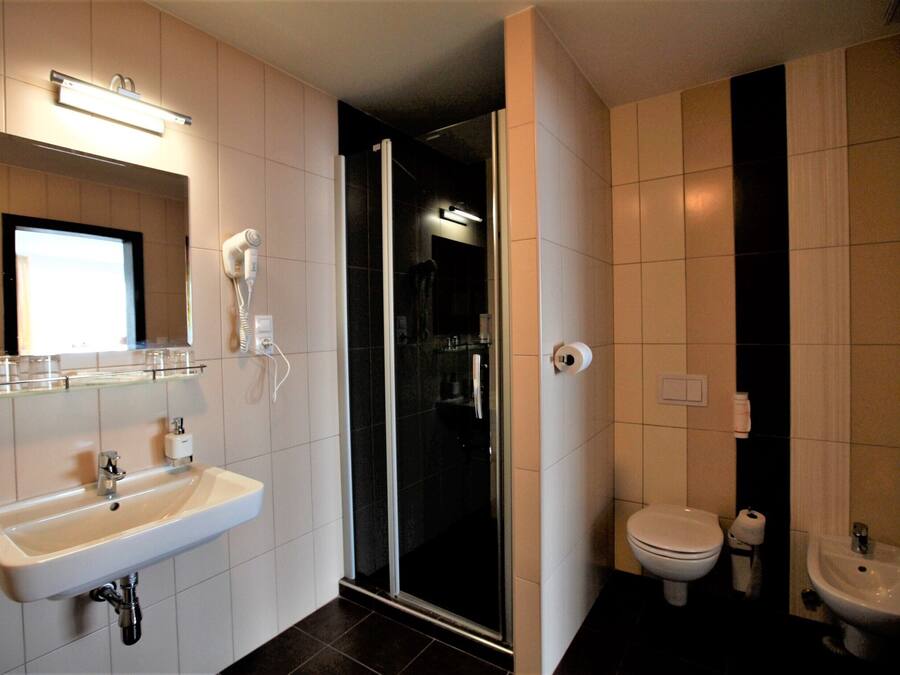 A modern bathroom with a sink, toilet, bidet, and a glass shower enclosure.
