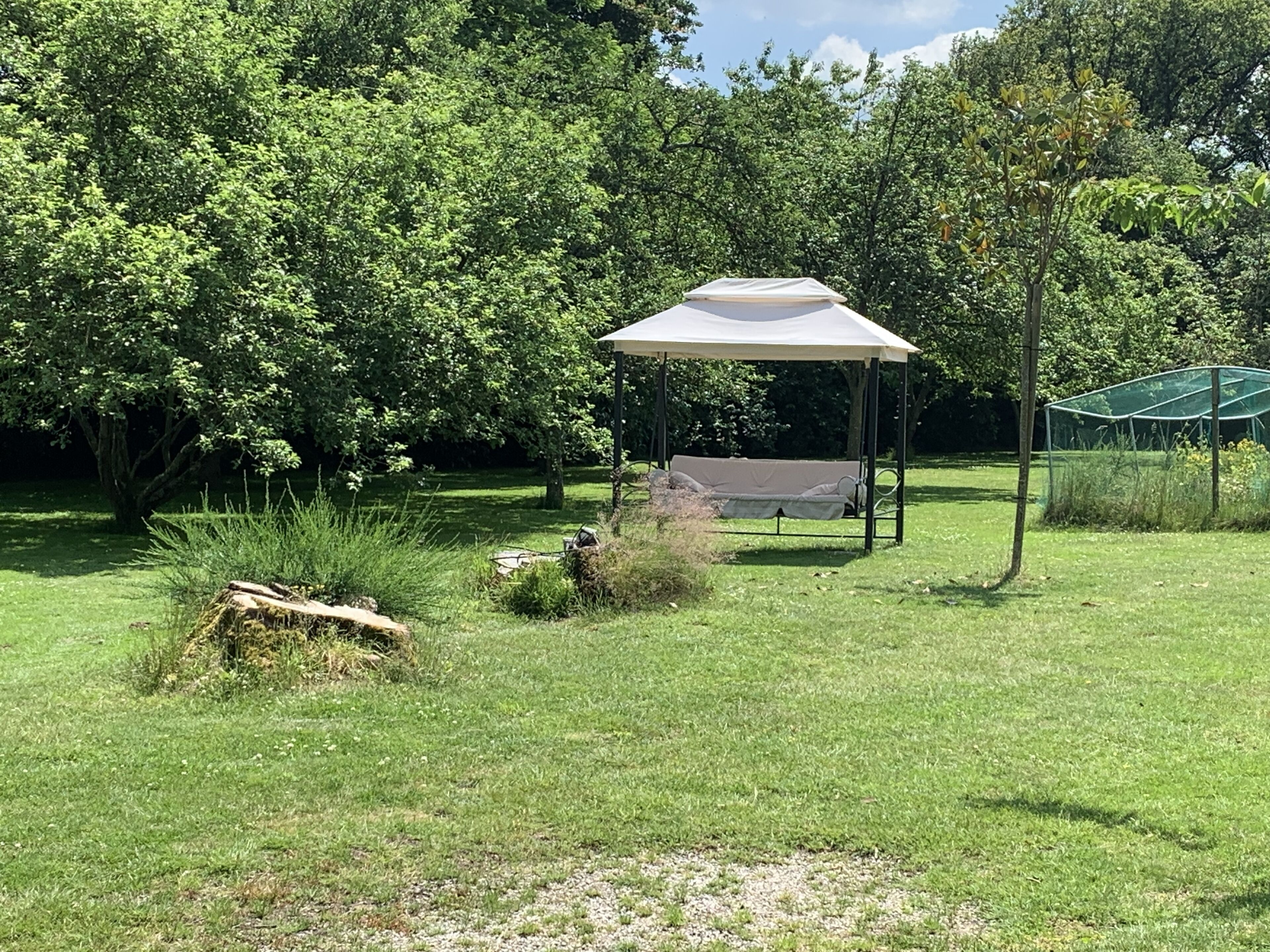A gazebo with a canopy, surrounded by lush greenery and trees.