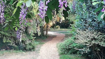 Área da propriedade