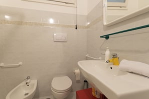 Ducha, cabezal de ducha tipo lluvia, secador de pelo, bidet