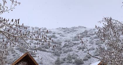 Taylor Canyon Cabin in Almont
