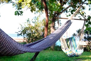 Property grounds - Beekeeper's house by the sea - sail boat - spa. (Ligia)