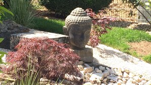 A garden with a Buddha statue, red foliage, and a stone pathway.