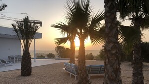 Une terrasse sur le toit, agrémentée de palmiers, de sièges et offrant une vue sur le coucher du soleil.