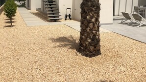 Un bâtiment moderne doté d’un escalier, d’un palmier et d’un espace extérieur aménagé pour s’asseoir.