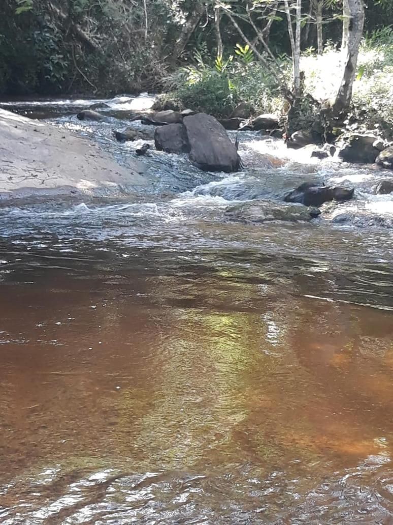 Um rio de águas cristalinas, cercado por pedras e árvores.
