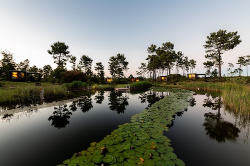 Cocoon Eco Design Lodges