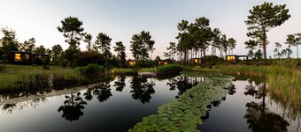 Cocoon Eco Design Lodges