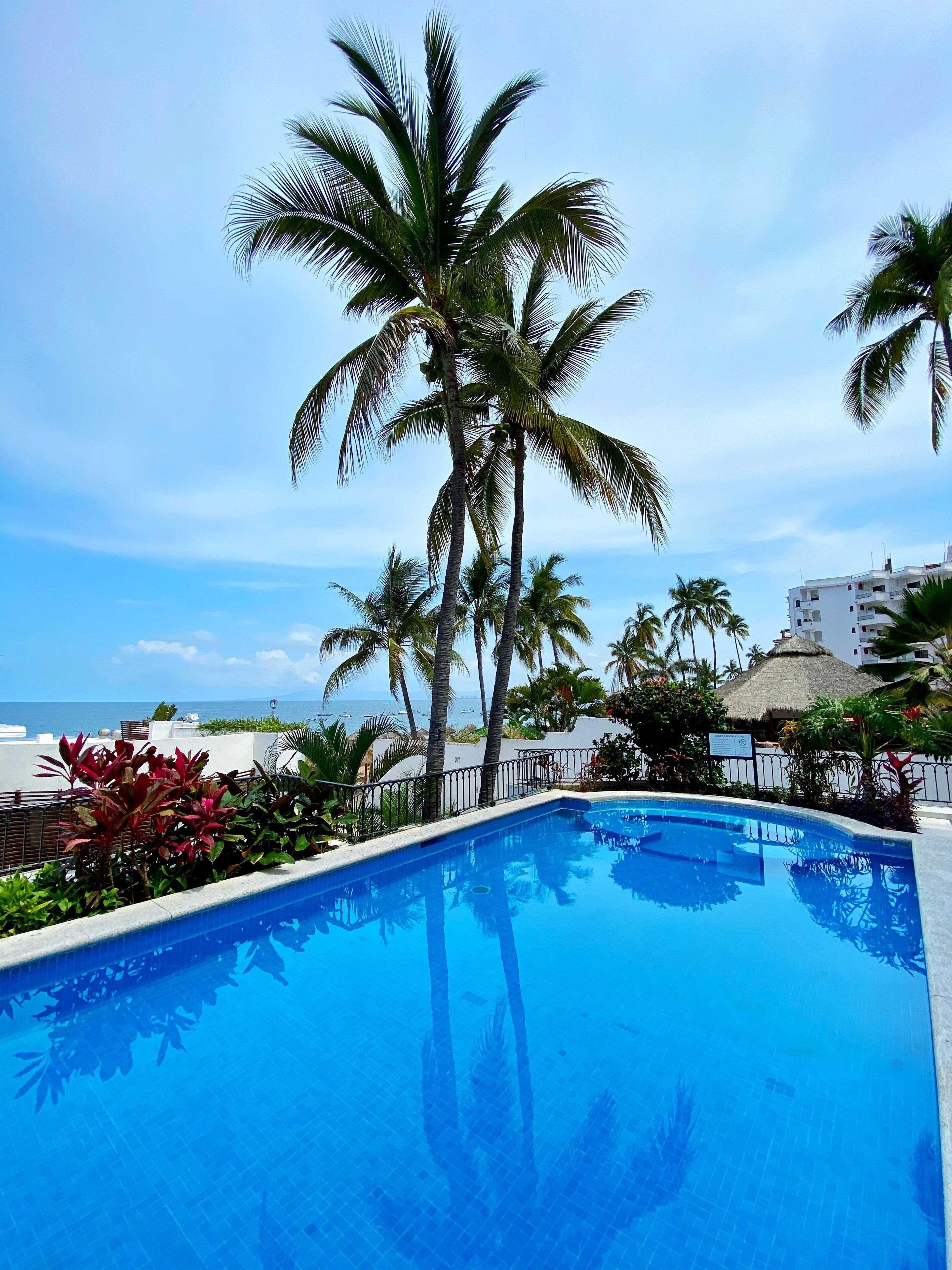 outdoor pool, pool umbrellas, pool loungers