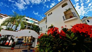 Un patio con una fuente, rodeado de flores rojas y palmeras, con edificios al fondo.