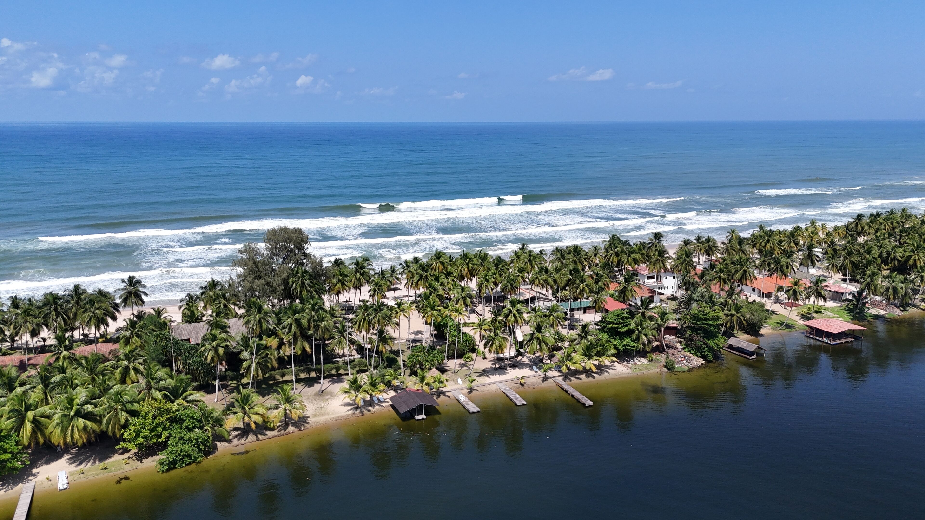 Vista aérea de una zona costera con playa, palmeras y edificios.