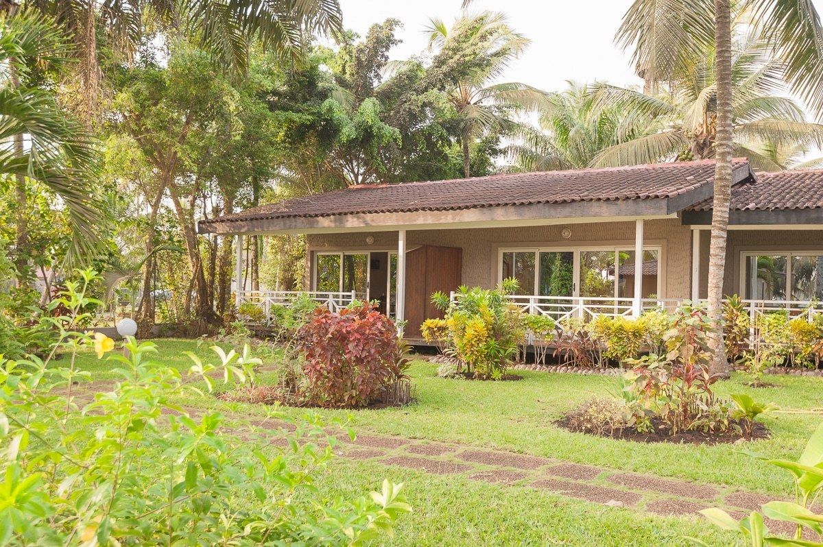 classic double room, garden view | view from room