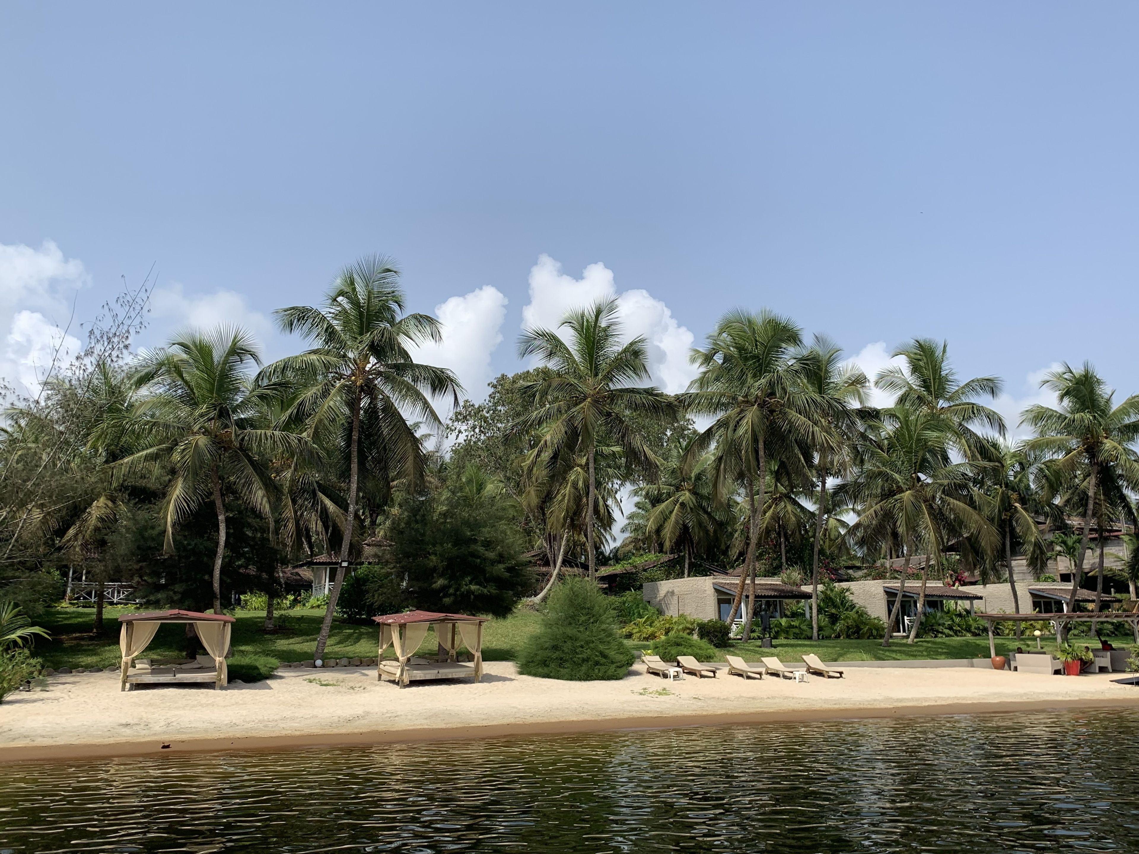 A beach with palm trees, a gazebo, and lounge chairs.