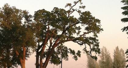 Harbor View Cottages-Overlooking Historic Harbor and Beach