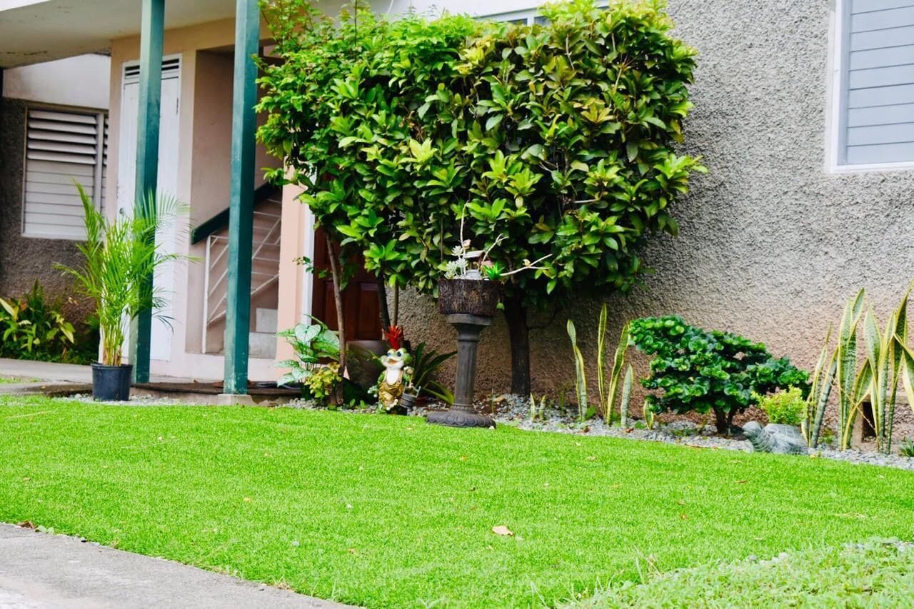 A well-maintained lawn, a variety of potted plants, and a large bush against a building facade.
