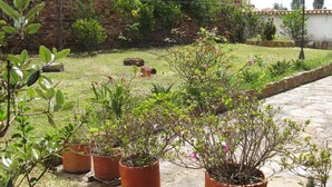 Un jardín con plantas en macetas y un camino de piedra.