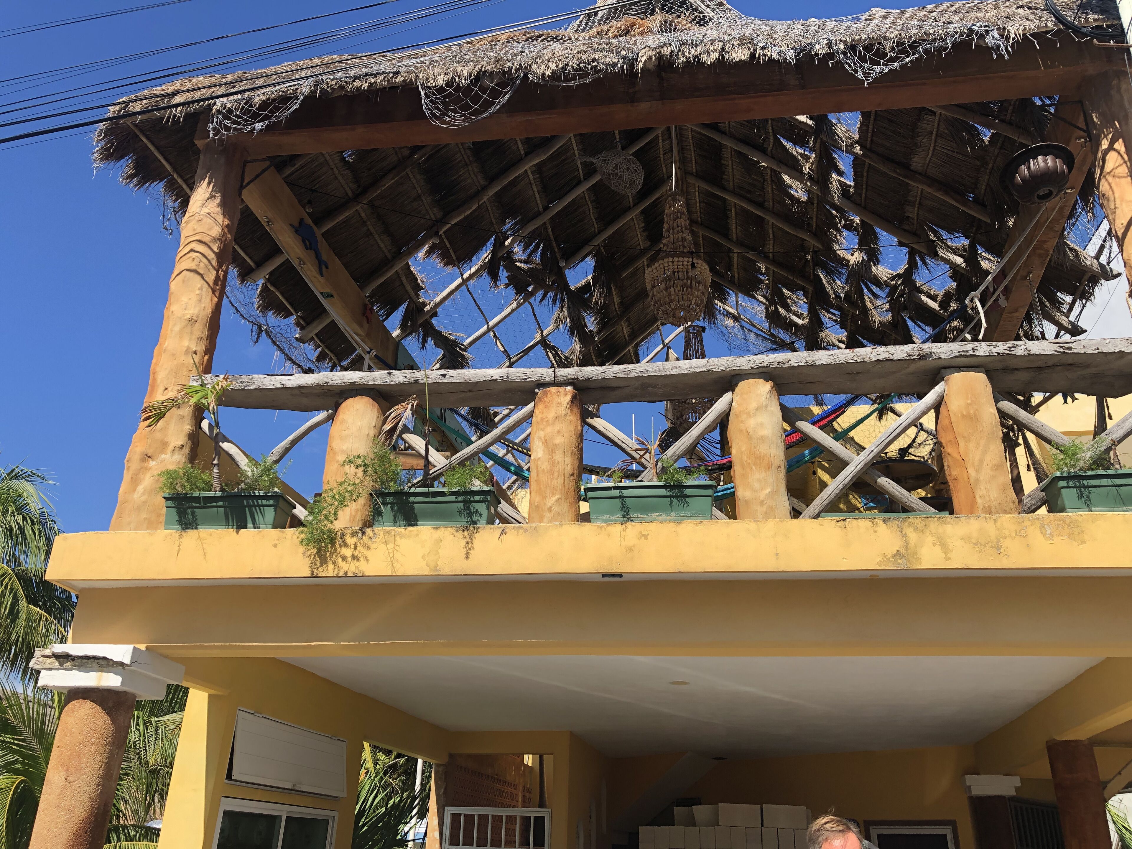 A building with a thatched roof, wooden beams, and a balcony with green planters.