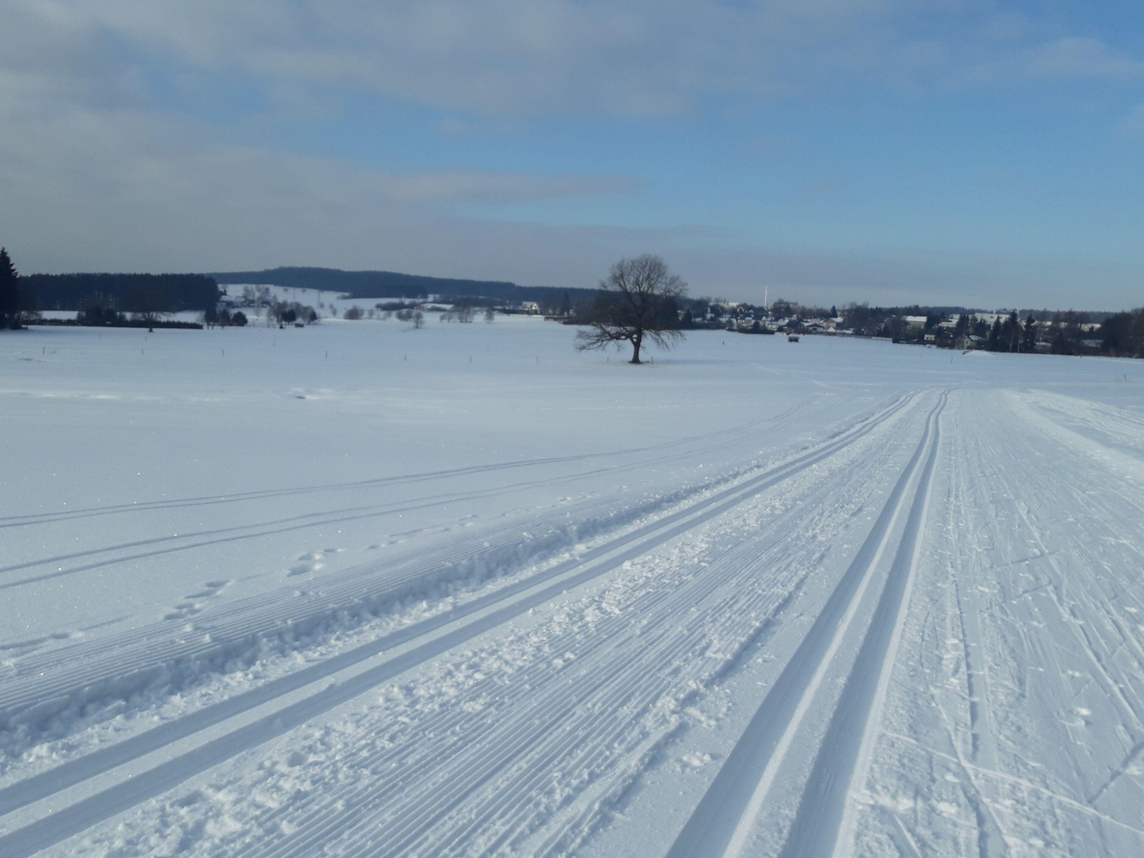 A snowy landscape with a clear sky, a single tree, and distant houses.
