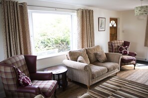 TV, fireplace, DVD player, books