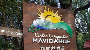 A wooden sign with the text "Centro Campestre MAVIDAHUE" and a graphic of a green and yellow creature. - Centro Campestre Mavidahue (Futrono)