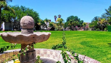 Jardín